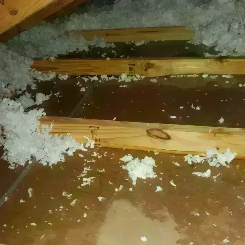 Attic Water Damage in Pike County, MO