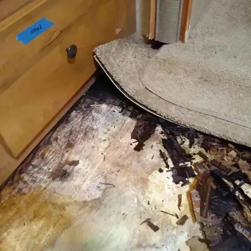 Wood Floor Water Damage in Pike County, MO